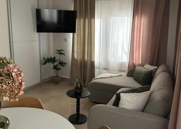 Apartament Olga 1 *